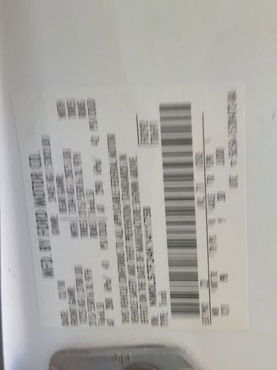 2019 Ford Transit Connect XLT